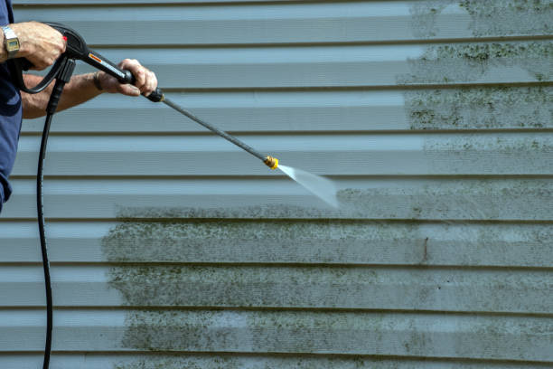 Best Roof Power Washing Services  in St Anne, IL