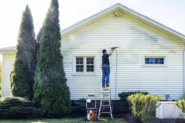 Best Fence Pressure Washing  in St Anne, IL