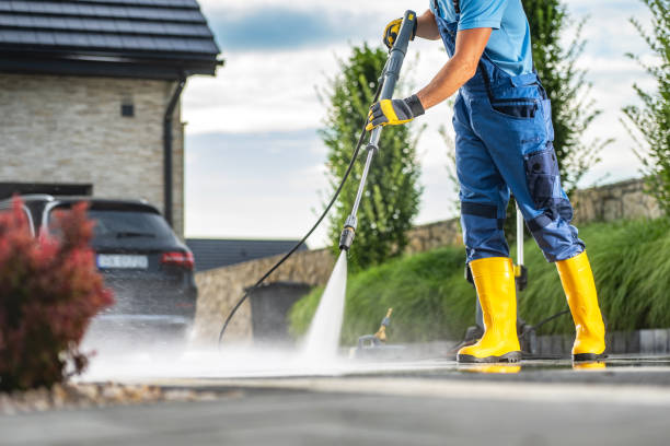 Best Roof Pressure Washing  in St Anne, IL