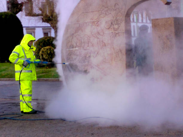 Best House Pressure Washing  in St Anne, IL