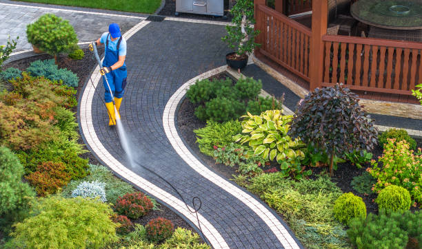 Best Local Pressure Washing Services  in St Anne, IL