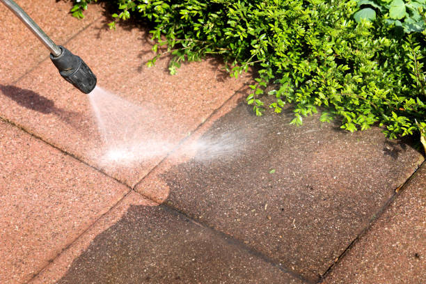 Best Residential Pressure Washing Services  in St Anne, IL